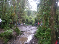 Lunch break en route to Machame Camp